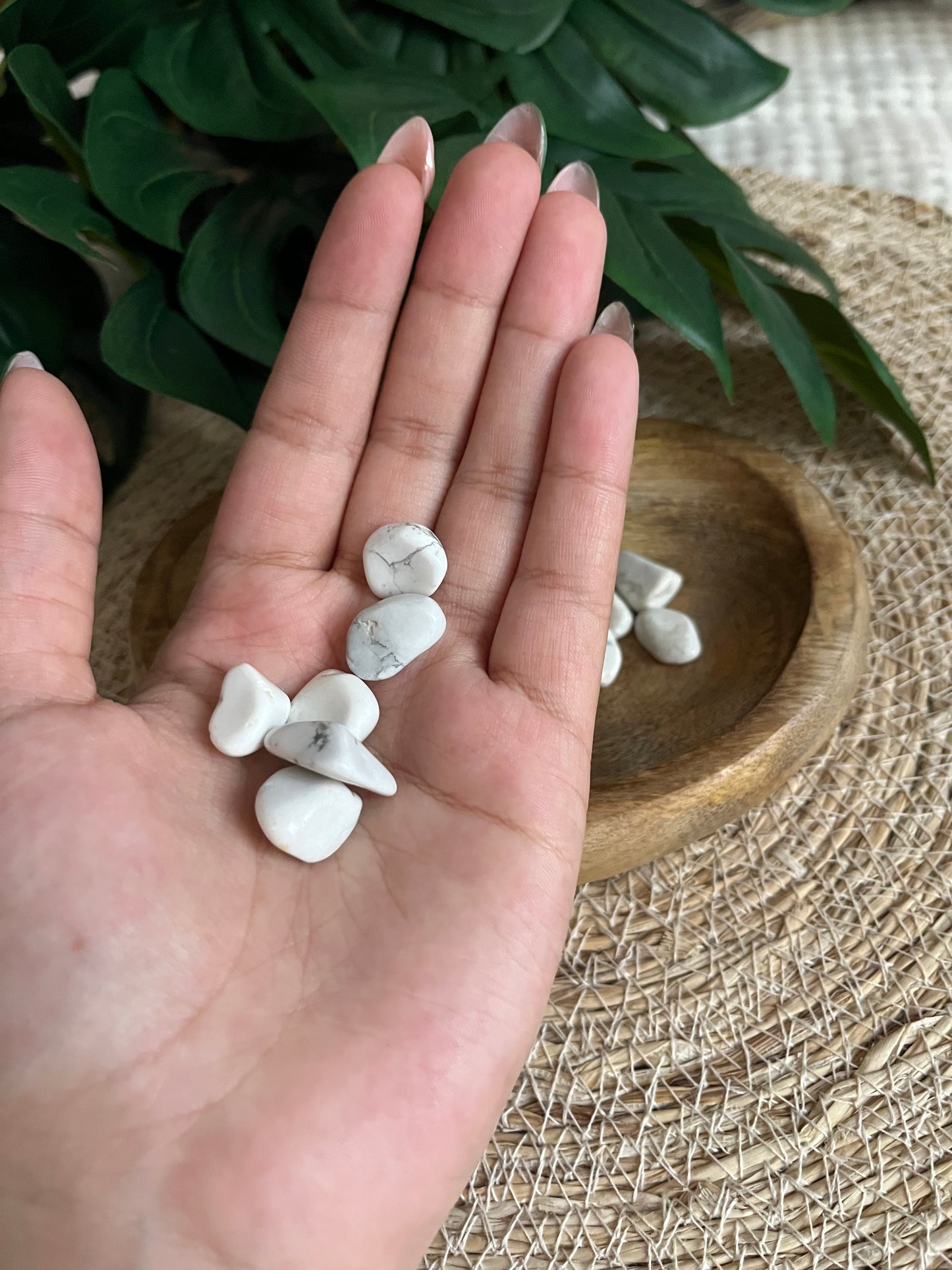 Howlite Blanche – Pierre roulée