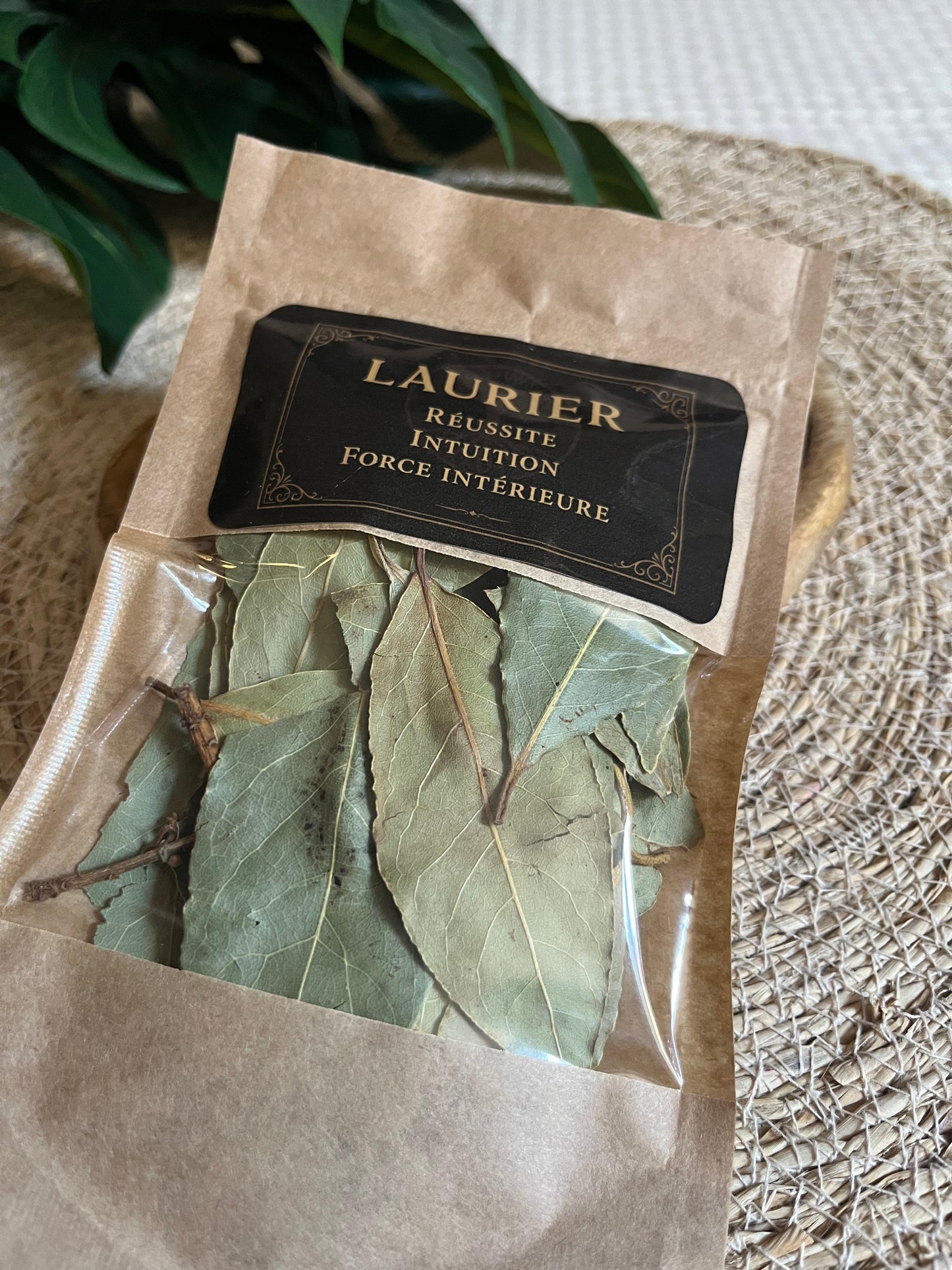 🌿 LAURIER