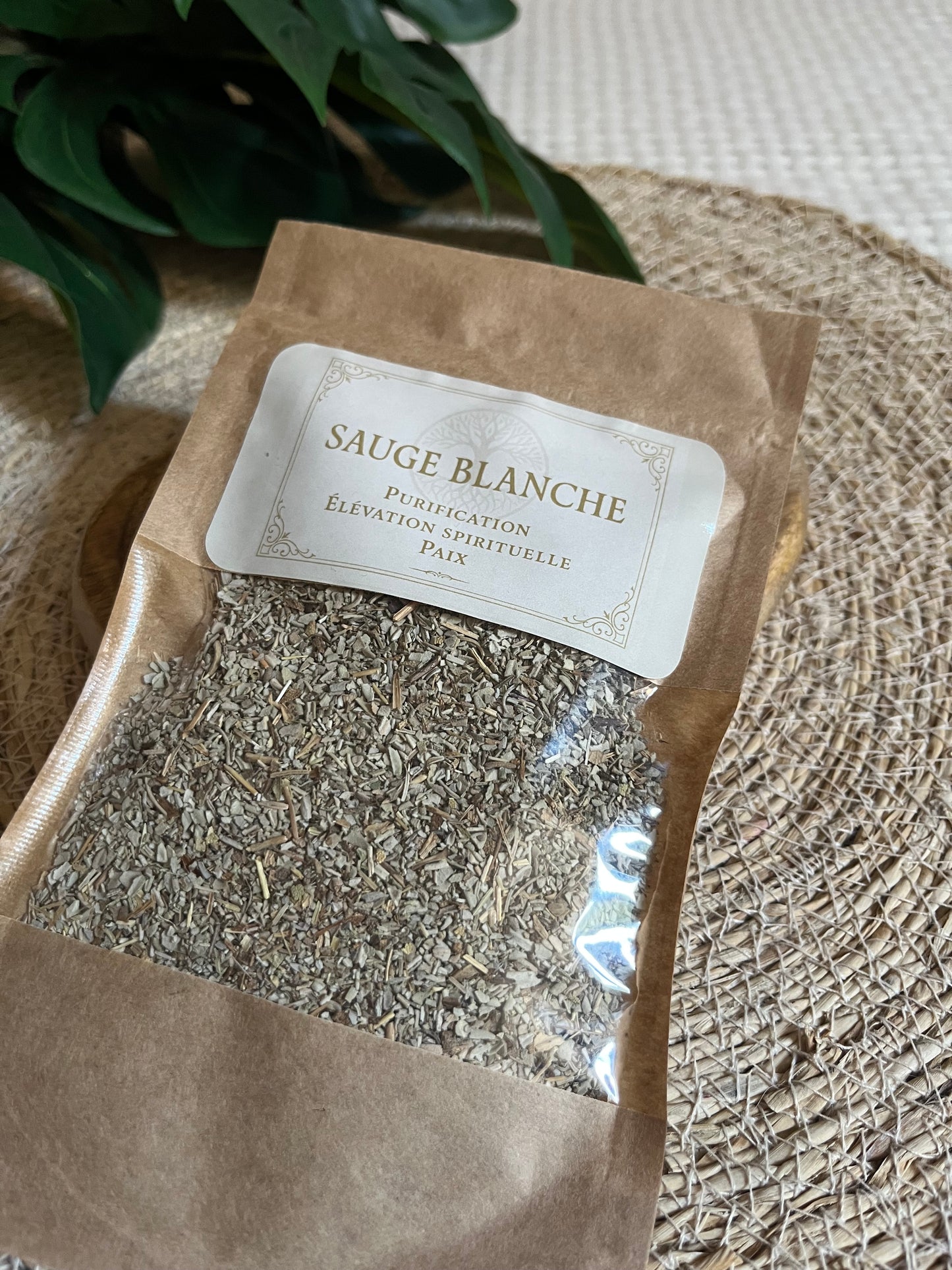 🌿 SAUGE BLANCHE