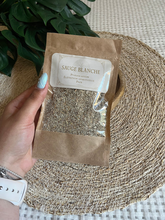 🌿 SAUGE BLANCHE