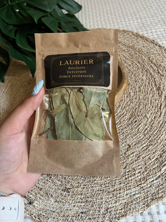 🌿 LAURIER